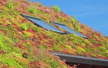Ivy Chimneys living roof systems